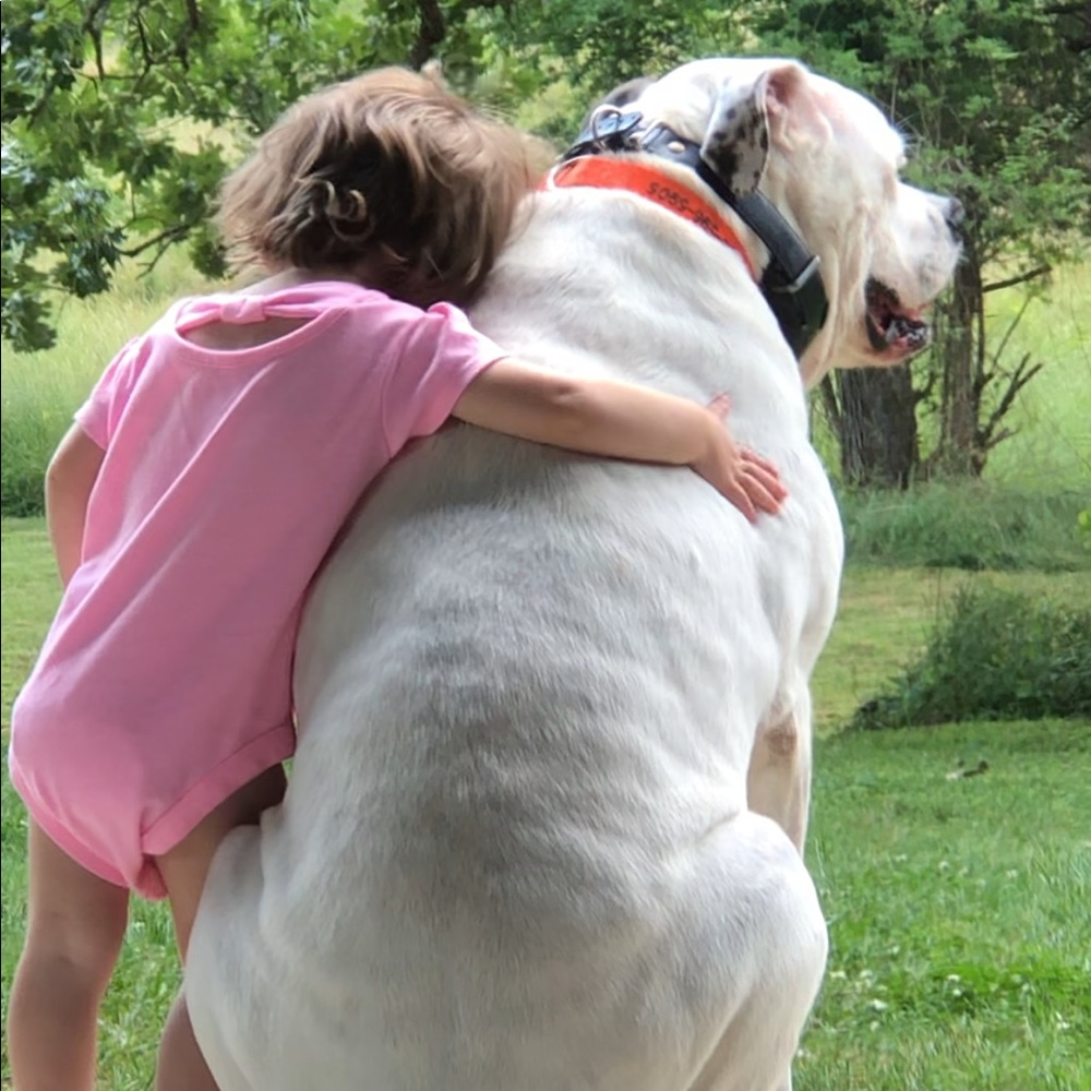 Meet your Posher, Pam